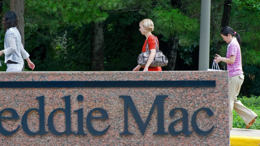 This Is What Fannie Mae, Freddie Mac Privatization Means For