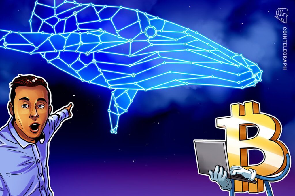 Spot bitcoin etf inflows will decline, but btc whales' activity