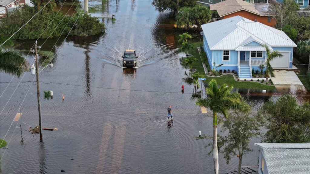 How to check your insurance policy